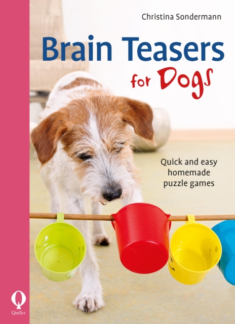 Brain Teasers for Dogs : Quick and easy homemade puzzle games, EPUB eBook