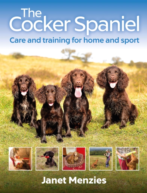 The Cocker Spaniel : Care and Training for Home and Sport, EPUB eBook