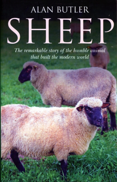 Sheep - The remarkable story of the humble animal that built the modern world., Paperback / softback Book