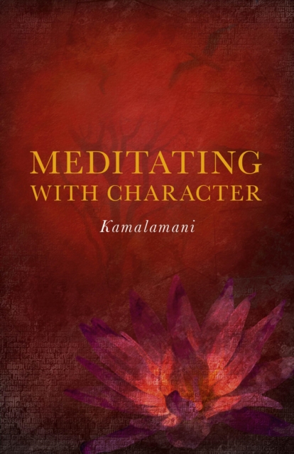 Meditating With Character, Paperback / softback Book