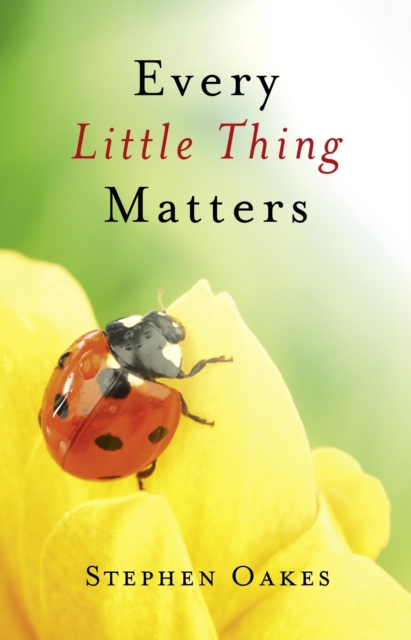 Every Little Thing Matters, EPUB eBook