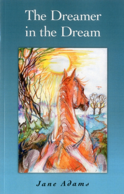 Dreamer in the Dream, EPUB eBook