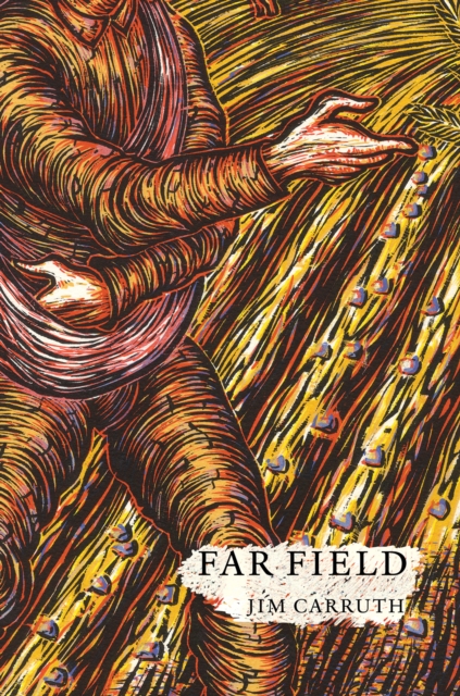 Far Field, Paperback / softback Book