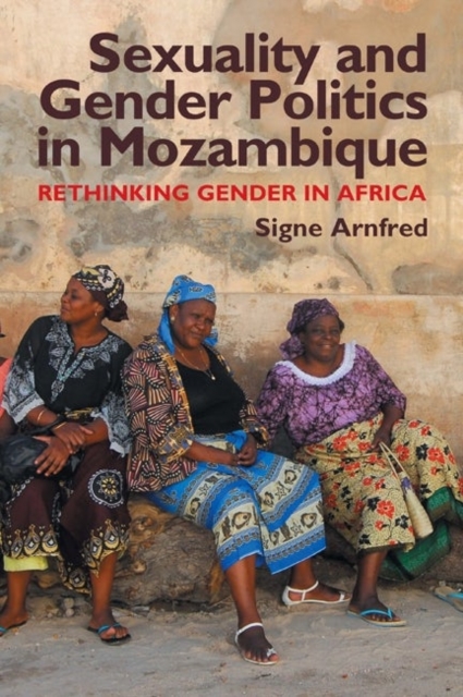 Sexuality and Gender Politics in Mozambique : Re-thinking Gender in Africa, Hardback Book