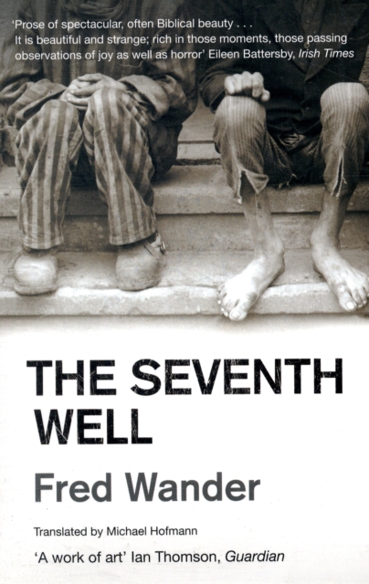 The Seventh Well, Paperback / softback Book