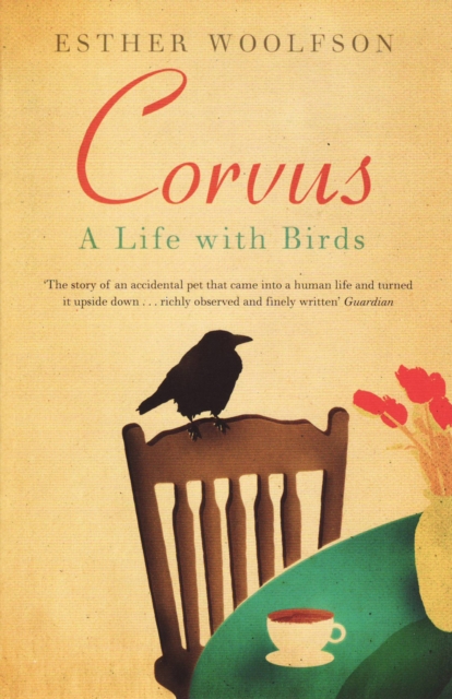 Corvus : A Life with Birds, Paperback Book