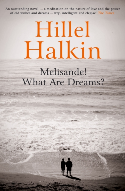 Melisande! What Are Dreams?, Paperback / softback Book