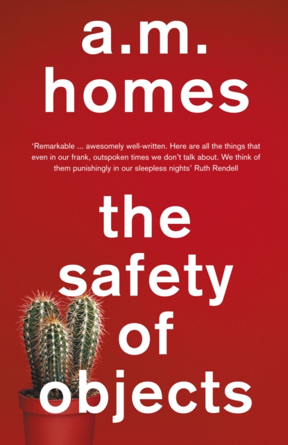 The Safety Of Objects, EPUB eBook