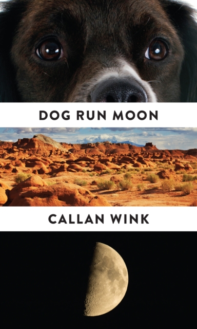 Dog Run Moon : Stories, EPUB eBook