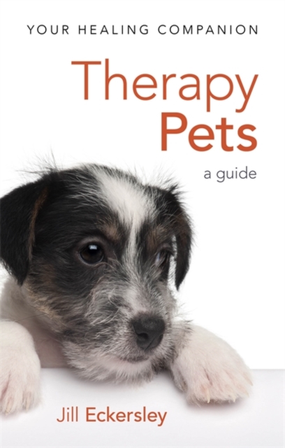 Therapy Pets : A Guide, Paperback / softback Book