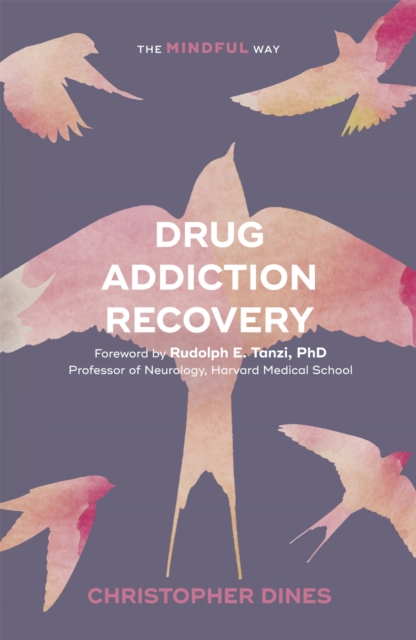 Drug Addiction Recovery: The Mindful Way, Paperback / softback Book