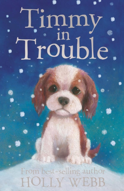 Timmy in Trouble, Paperback / softback Book