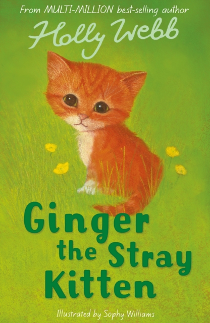 Ginger the Stray Kitten, Paperback / softback Book