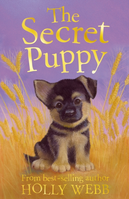 The Secret Puppy, Paperback / softback Book