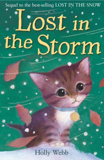 Lost in the Storm, EPUB eBook