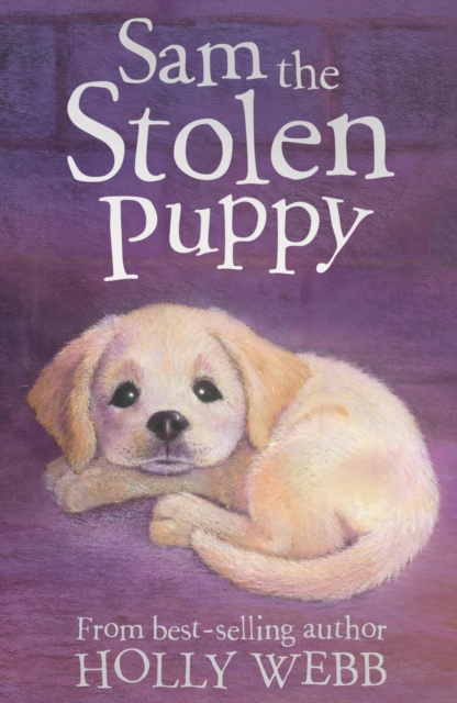 Sam the Stolen Puppy, EPUB eBook