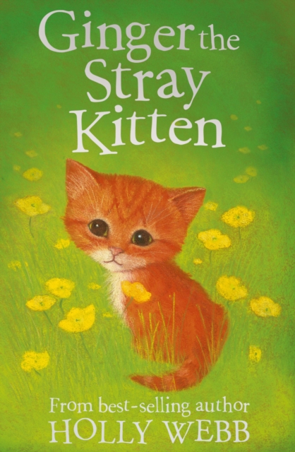 Ginger the Stray Kitten, EPUB eBook