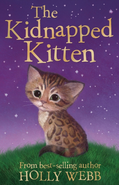 The Kidnapped Kitten, EPUB eBook