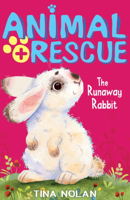 The Runaway Rabbit, Paperback / softback Book