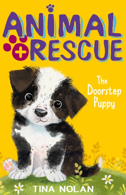 The Doorstep Puppy, Paperback / softback Book