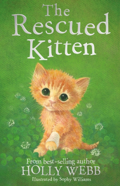 The Rescued Kitten, Paperback / softback Book