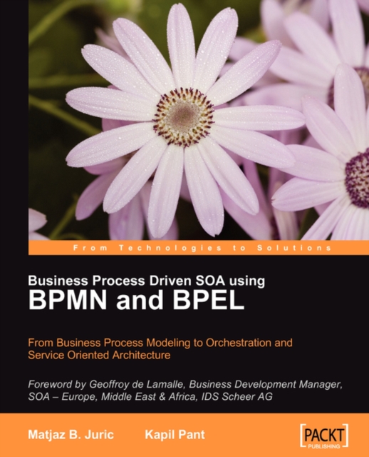 Business Process Driven SOA using BPMN and BPEL, Electronic book text Book