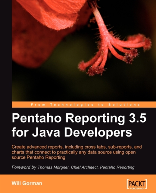 Pentaho Reporting 3.5 for Java Developers, Electronic book text Book