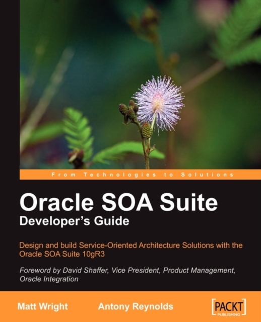 Oracle SOA Suite Developer's Guide, Paperback / softback Book