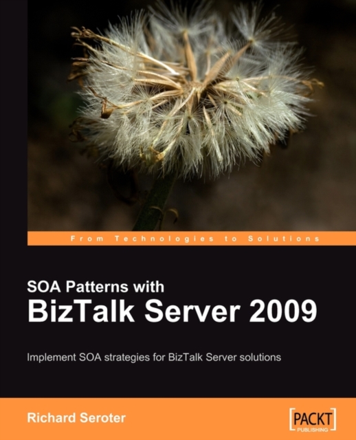 SOA Patterns with BizTalk Server 2009, Electronic book text Book