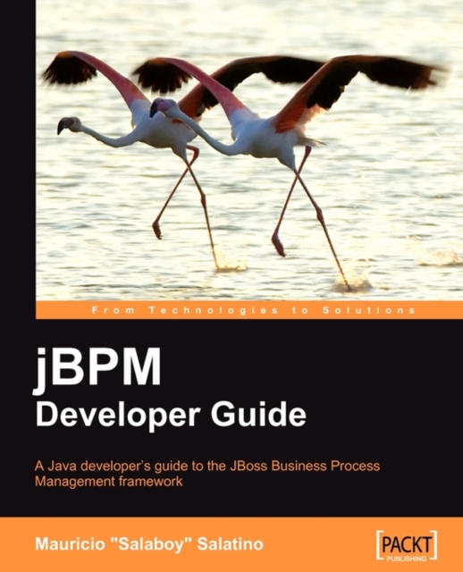 jBPM Developer Guide, Paperback / softback Book