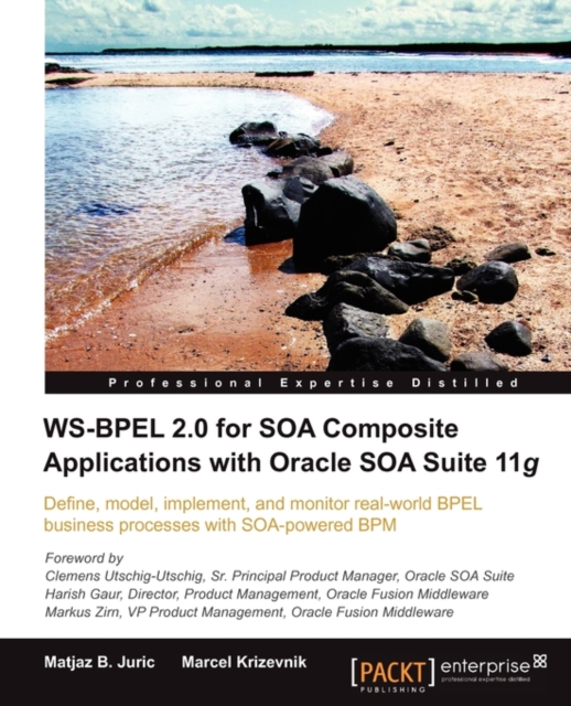 WS-BPEL 2.0 for SOA Composite Applications with Oracle SOA Suite 11g, Electronic book text Book