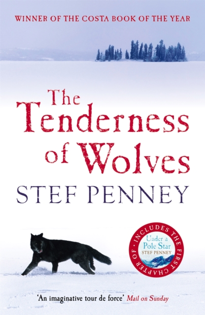 The Tenderness of Wolves, Paperback / softback Book
