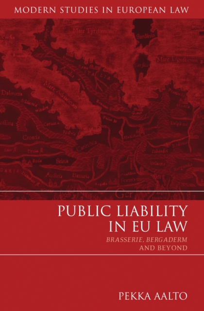 Public Liability in EU Law : Brasserie, Bergaderm and Beyond, EPUB eBook