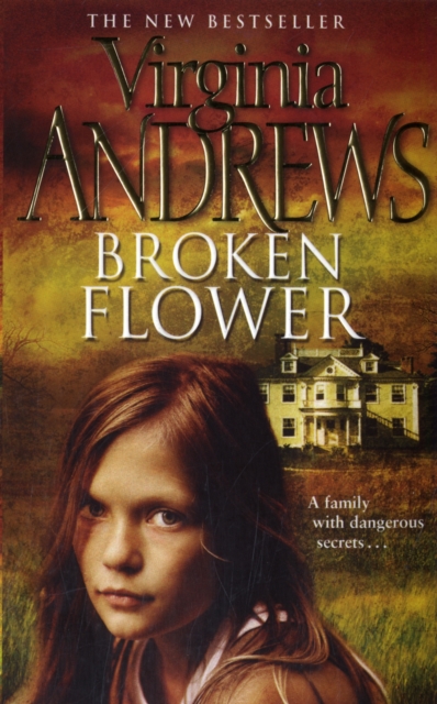 Broken Flower, Paperback / softback Book