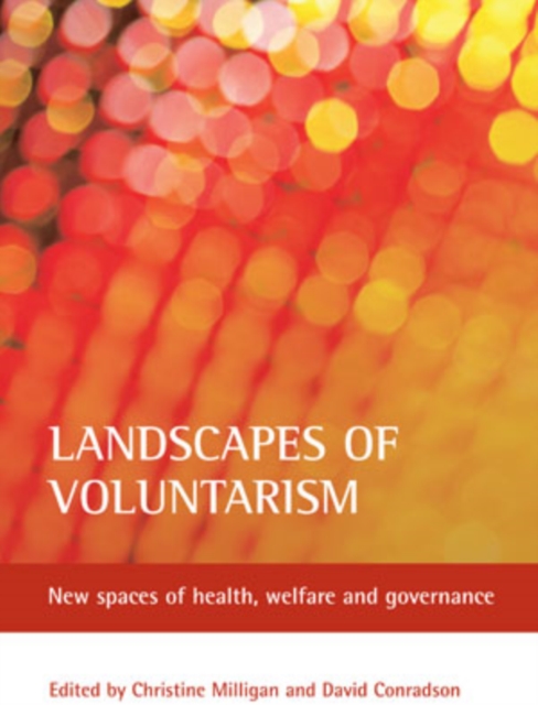 Landscapes of voluntarism : New spaces of health, welfare and governance, PDF eBook