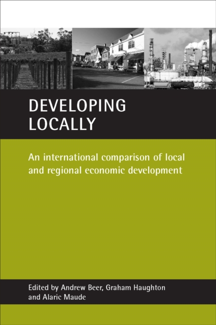 Developing locally : An international comparison of local and regional economic development, PDF eBook