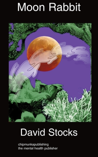 Moon Rabbit, Paperback / softback Book