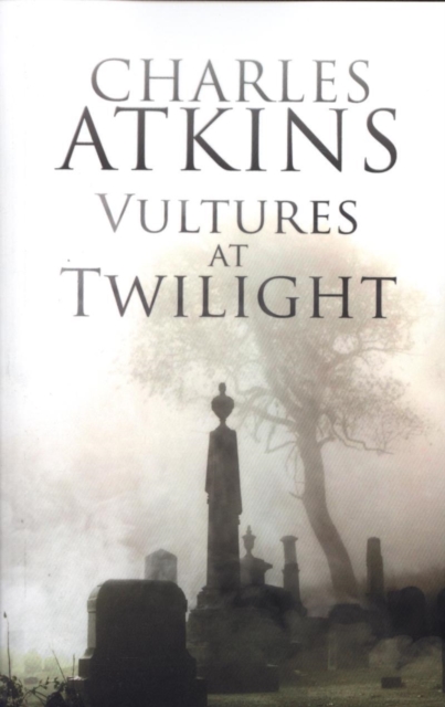 Vultures at Twilight, Paperback / softback Book