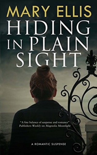 Hiding in Plain Sight, Paperback / softback Book