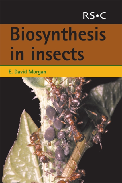 Biosynthesis in Insects, PDF eBook