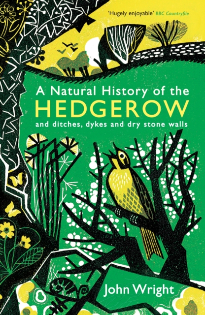 A Natural History of the Hedgerow : and ditches, dykes and dry stone walls, EPUB eBook