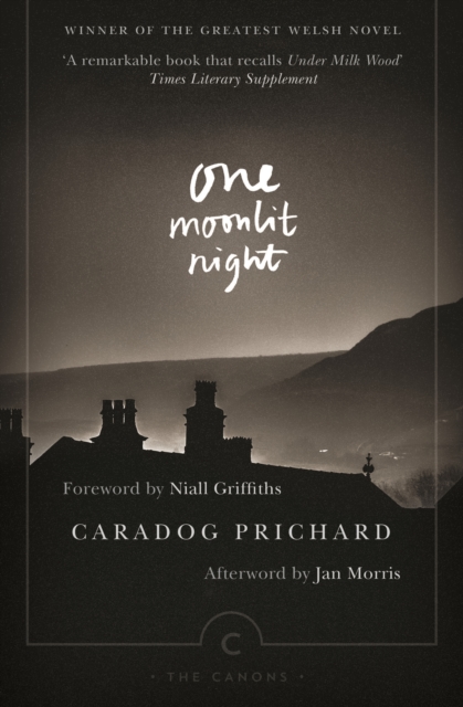 One Moonlit Night, EPUB eBook