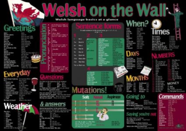Welsh on the Wall, Poster Book