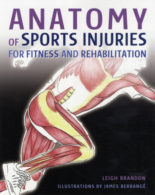 Anatomy of Sports Injuries : For Fitness and Rehabilitation, Hardback Book