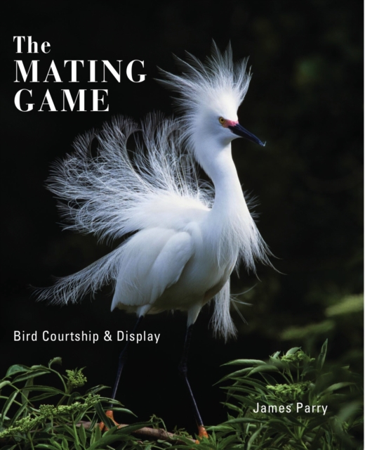 The Mating Lives of Birds, Hardback Book