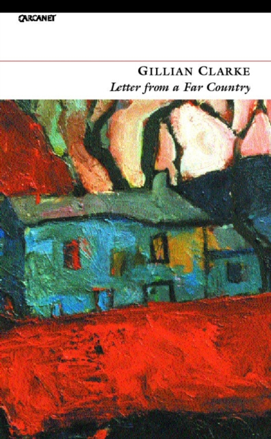 Letter from a Far Country, EPUB eBook