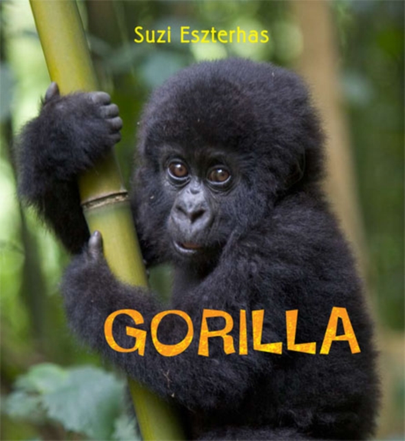 Gorilla, Paperback Book