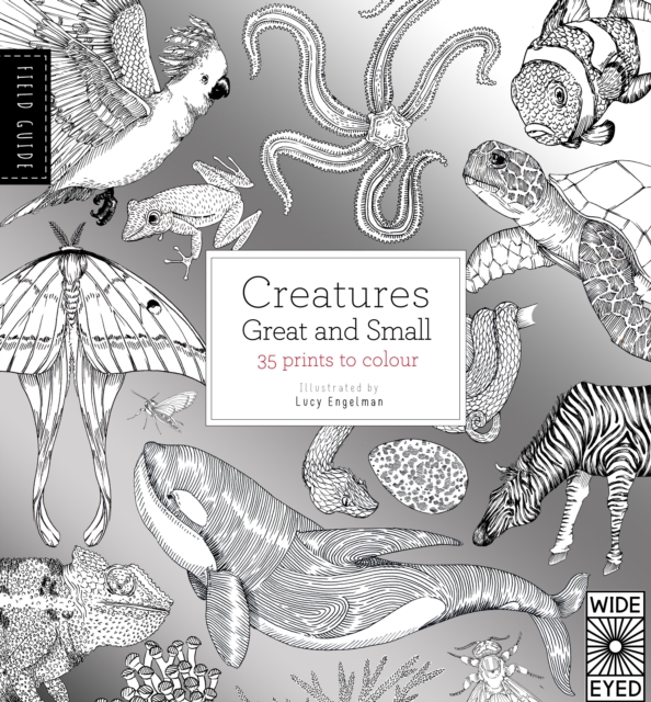Field Guide: Creatures Great and Small, Paperback Book