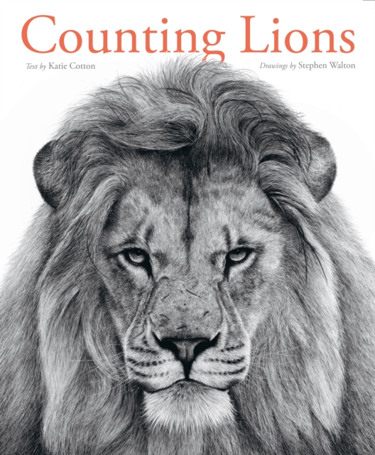 Counting Lions, Hardback Book