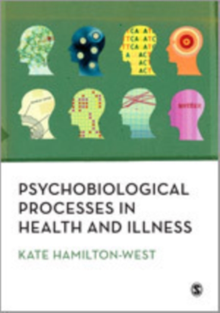 Psychobiological Processes in Health and Illness, Hardback Book